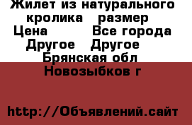Жилет из натурального кролика,44размер › Цена ­ 500 - Все города Другое » Другое   . Брянская обл.,Новозыбков г.